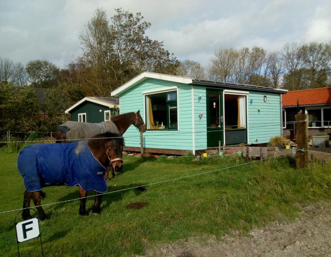 Betty'S Tiny House Wieringerwerf Exterior foto
